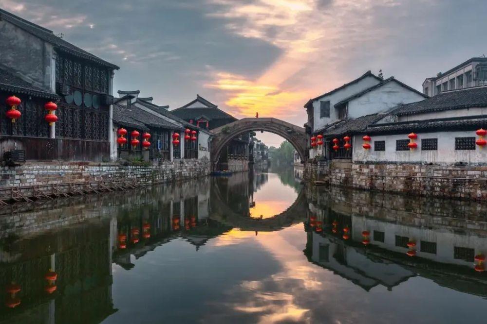 逃离天鹅森林